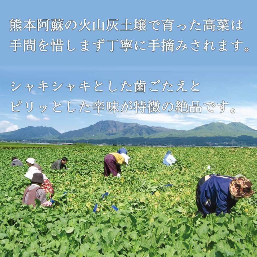 高菜 辛子明太子高菜 めんたいたかな 高菜漬け 150g 熊本 漬物 お取り寄せ|kumaplaza|02