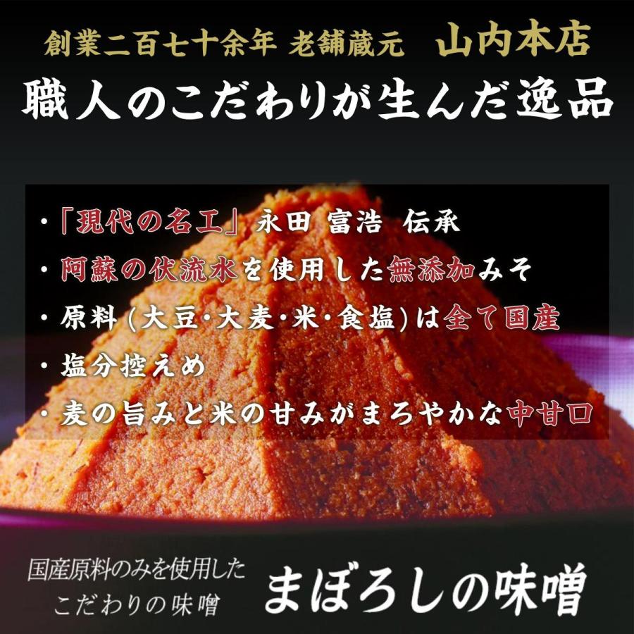 まぼろしの味噌 無添加 米麦あわせ 500gx2パック 山内本店 送料無料