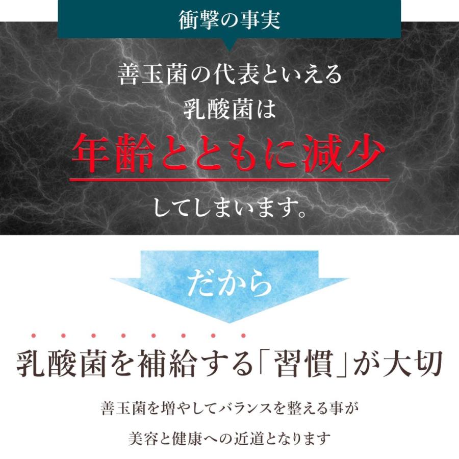 ヨーグルト 種菌 手作り フィビナス 50包 (ヨーグルト50リットル分
