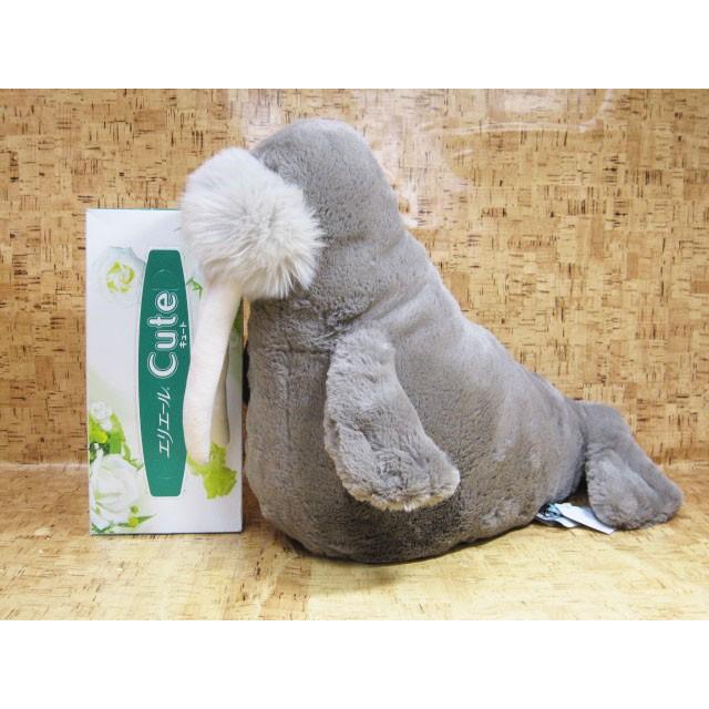 willie walrus