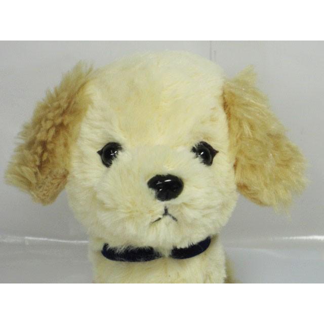 ぬいぐるみ 犬 イヌ いぬ パプス S ゴールデンレトリバー Sun0159 ぬいぐるみのくまくま 通販 Yahoo ショッピング