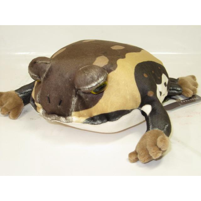アメフクラガエル ぬいぐるみ ぬいぐるみ ふわふわアメフクラガエル : ソプラノYahoo!店