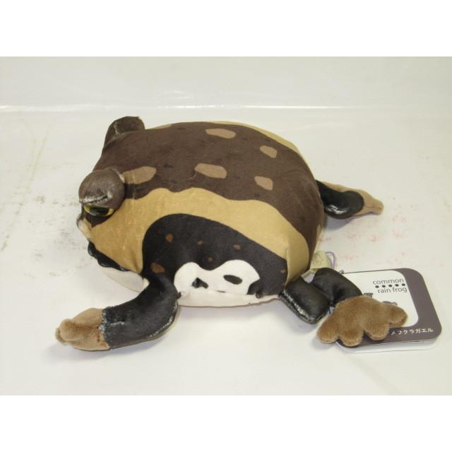 アメリカ海軍　GO NAVY カエル　ぬいぐるみ 新品】GO NAVY カエル ぬいぐるみ アメリカ海軍 - メルカリ