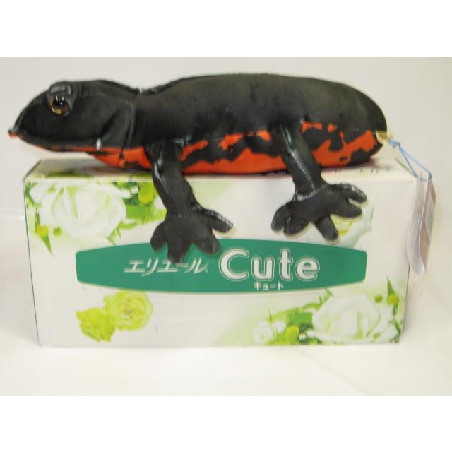 極美品【1点物】アカハライモリ② 8-9cm 50ml アカハライモリ / wooden bellied newt その他置物 工房西岡