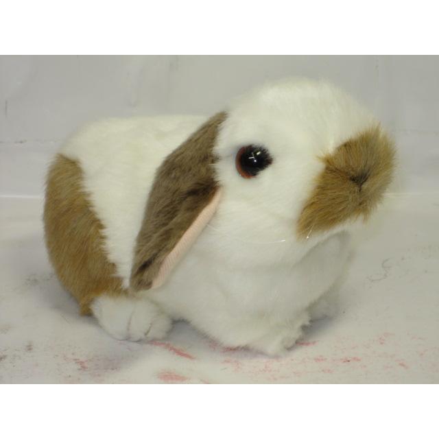 Usagi出品 D1GA331201.png.png