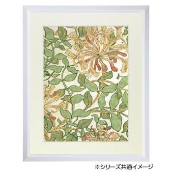 デッサン額　木製フレーム　桜三角　ホワイト　三三606×455　アクリル_2