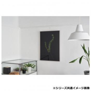 アルナ 額縁 シンプル ALUMIUM RIM マットシルバー 250角 16701の画像
