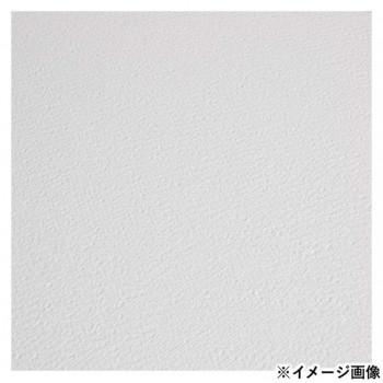 ファブリアーノ アルティスティコ エキストラホワイト 水彩紙 中目 FXB-30.5×45.5_1
