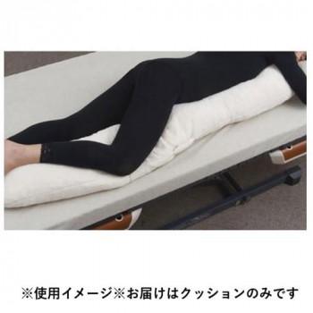 ナーセントExロール150 316633 P0254_2