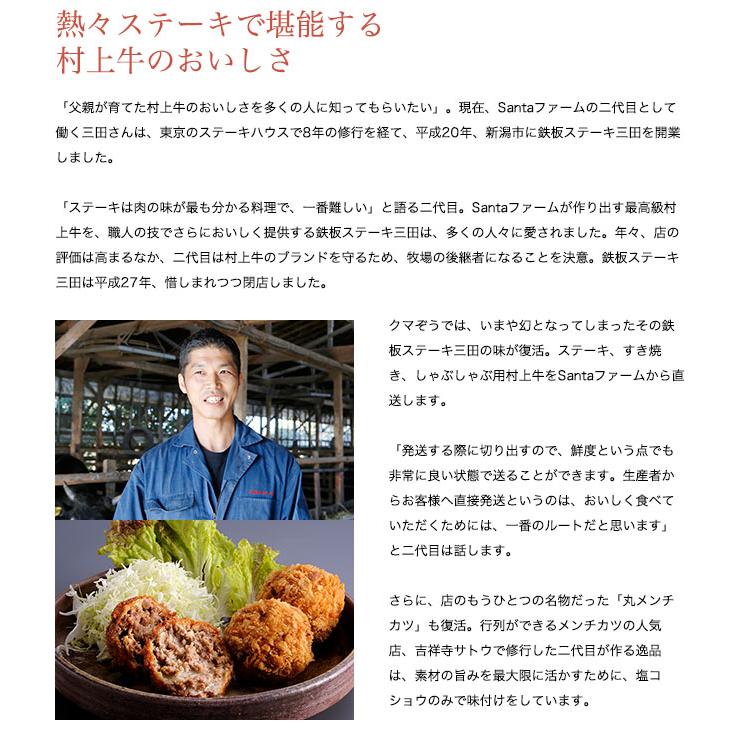 数量限定))名物 丸メンチカツ 5個入り×2セット（10個入） : ごようきき