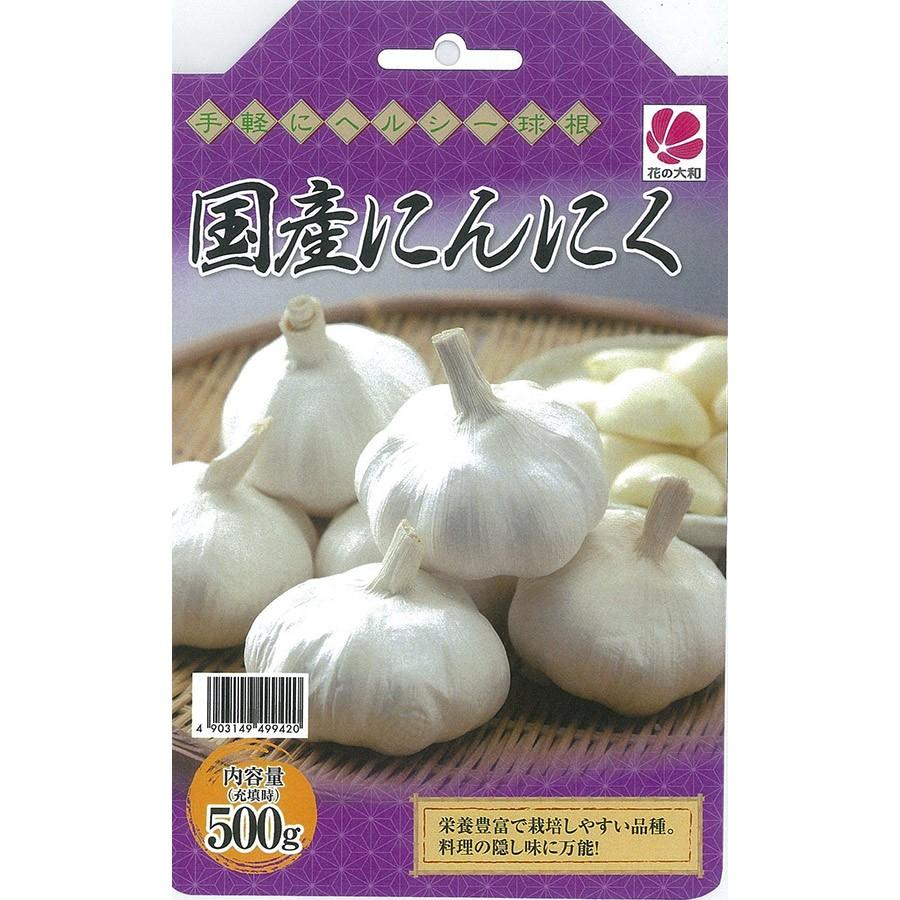 花の大和 球根 にんにく 国産 500g ごようきき2クマぞう 通販 Yahoo ショッピング