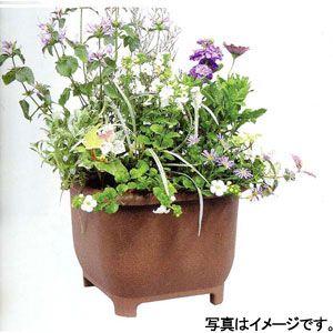 大和プラ販 eco＆ecoプランター角３２型 ×２４入りの画像