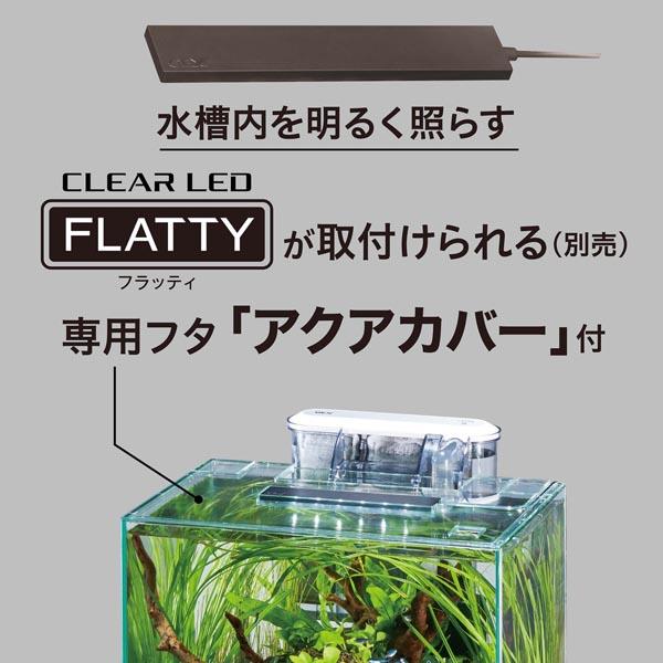 GEX（ジェックス） グラステリアFL300水槽 13L : ごようきき2クマぞう