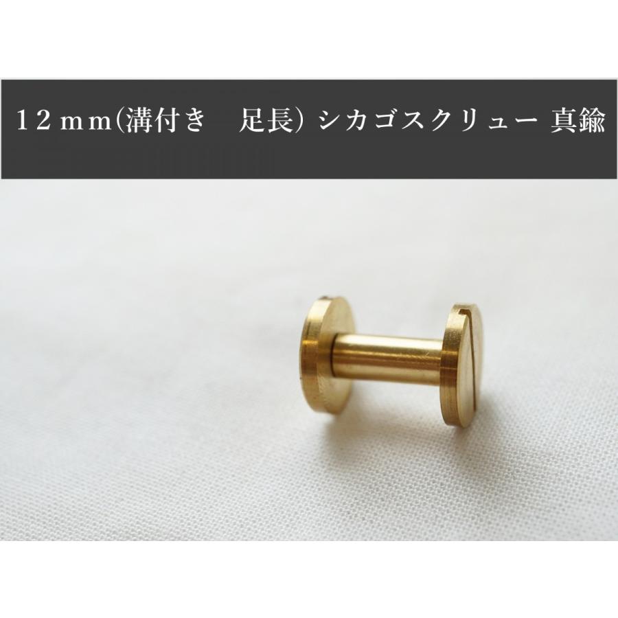 径12mm 足12mm シカゴスクリュー 組ネジ ブラス ニッケル メタルグレー