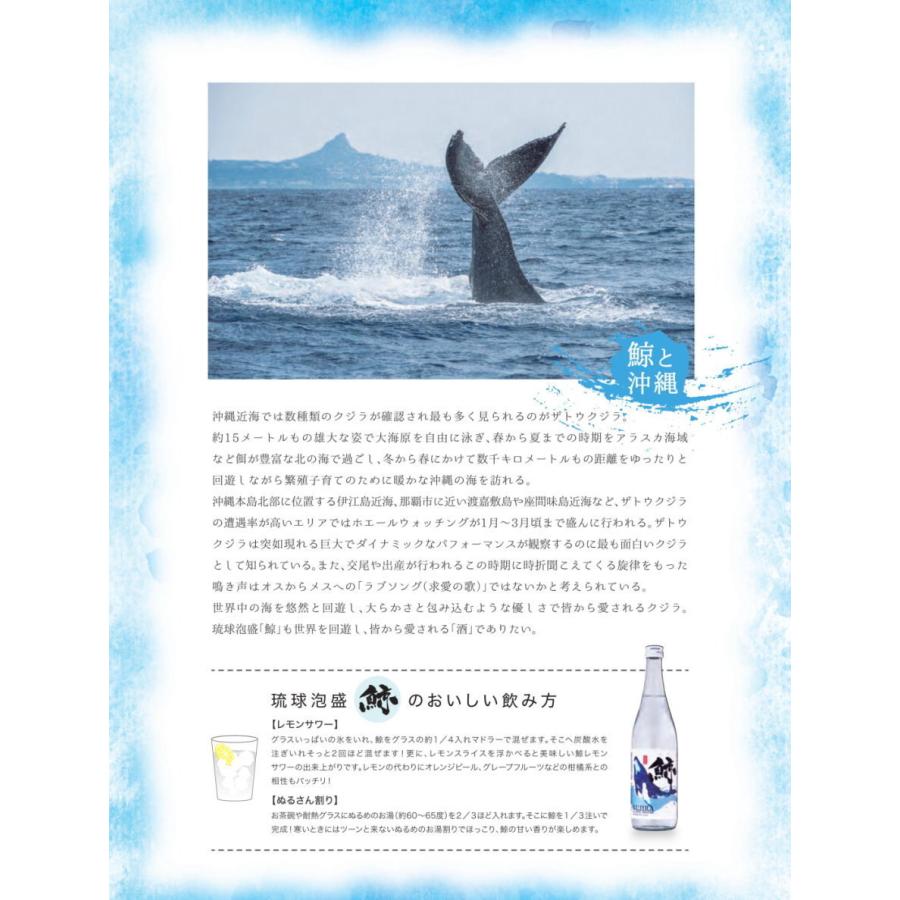 ギフト 焼酎 泡盛 鯨 30度 720ml 3本セット フルーティーな香りと味わいで好評!水割りやお湯割り!沖縄 お酒 久米仙 沖縄のお土産 誕生日 家のみ|久米仙酒造|06