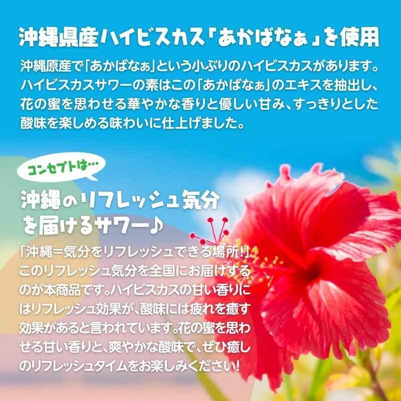 南国サワーの素 飲み比べ4本セット 500ml｜kumesen｜09