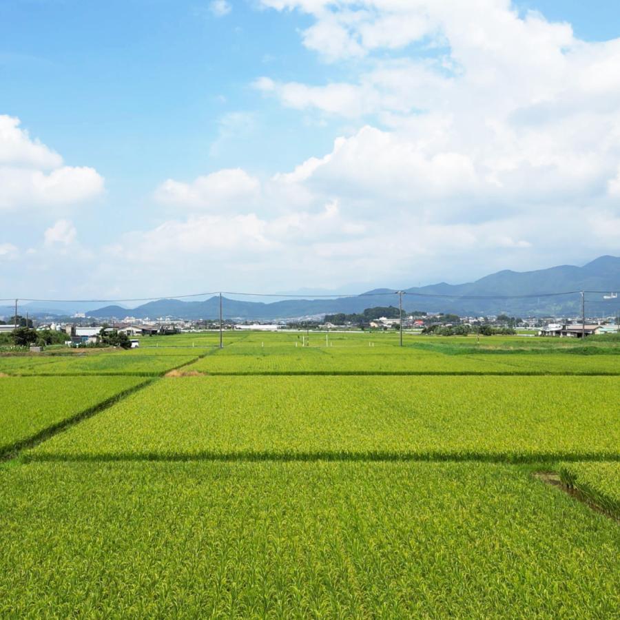湘南はるみ ジャパニーズシングルライスウイスキー 47度 700ml | 久米仙 | 02