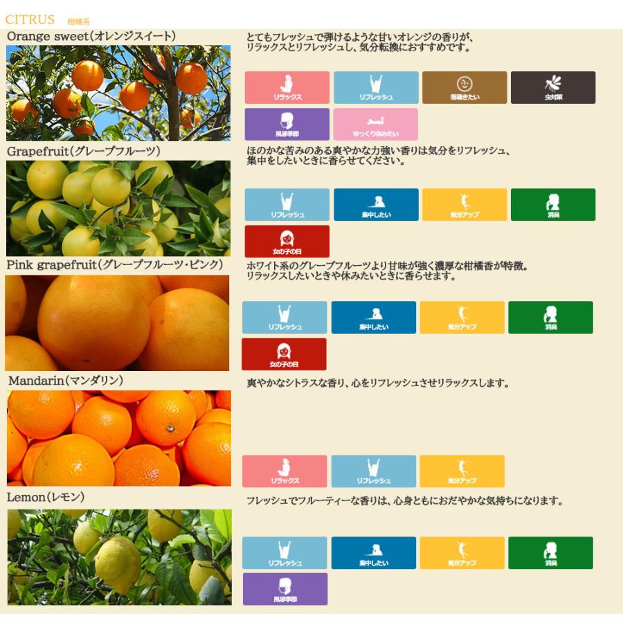 エッセンシャルオイル 精油 セット 5ml ×3本 とアロマストーン / AEAJ表示基準適合認定精油 スターターセット1 tg_smc +lt3+｜kumokumo-square｜04