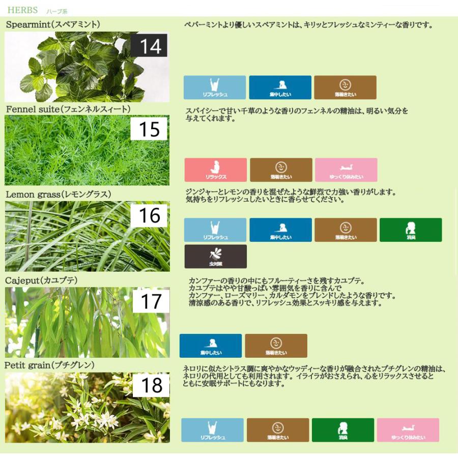 アンドエスエイチ エッセンシャルオイル 精油セット 10ml×3本 5ml×3本
