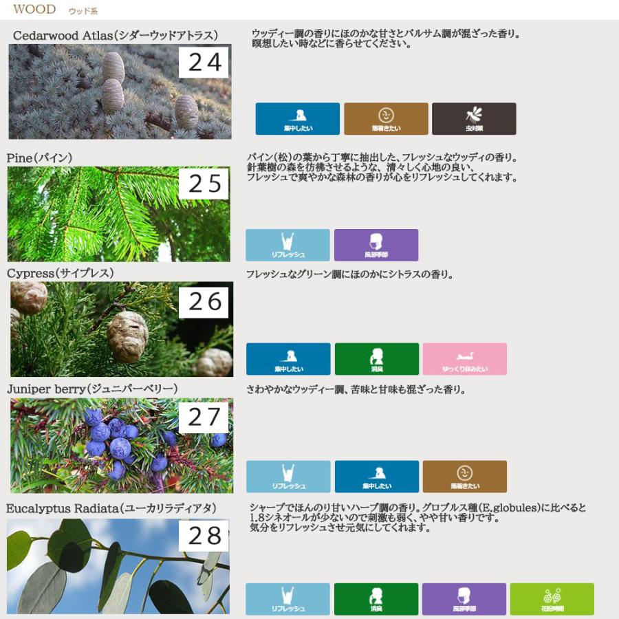 アンドエスエイチ エッセンシャルオイル 精油セット 10ml×3本 5ml×3本
