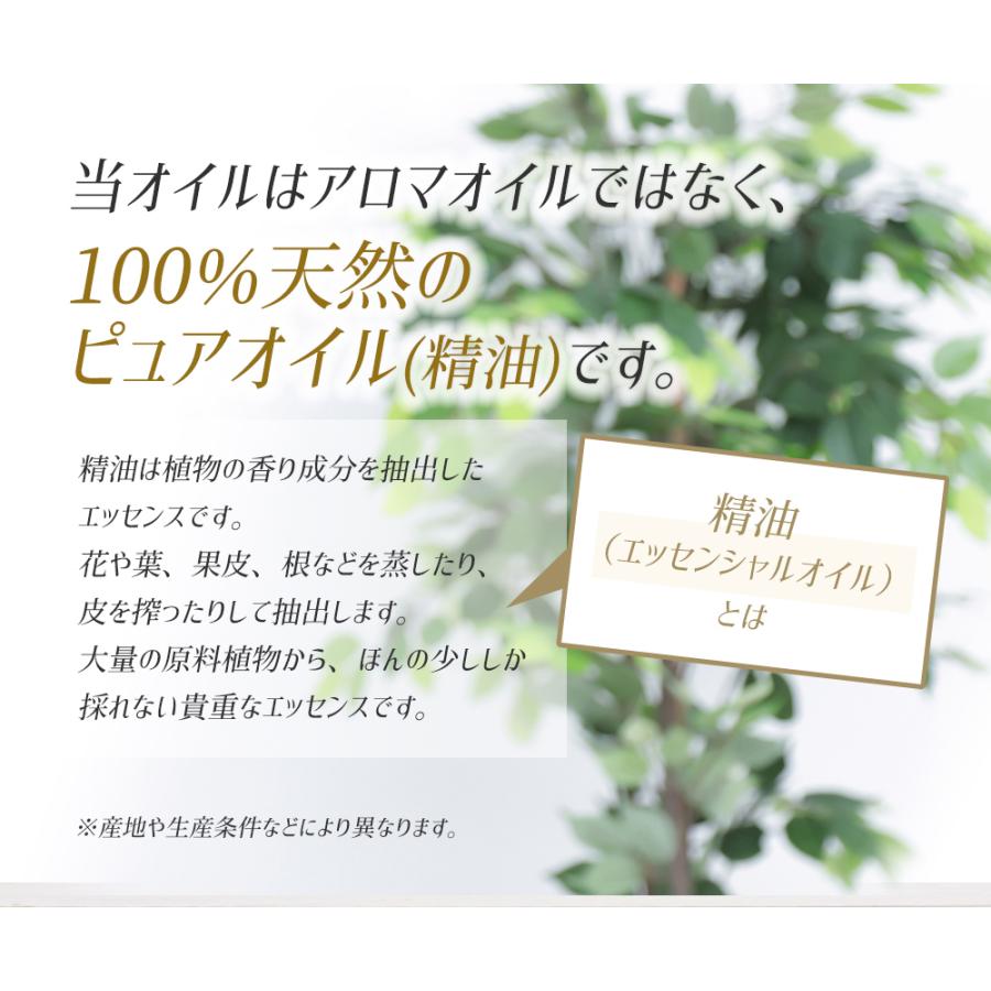 アンドエスエイチ エッセンシャルオイル 精油セット 10ml×3本 5ml×3本