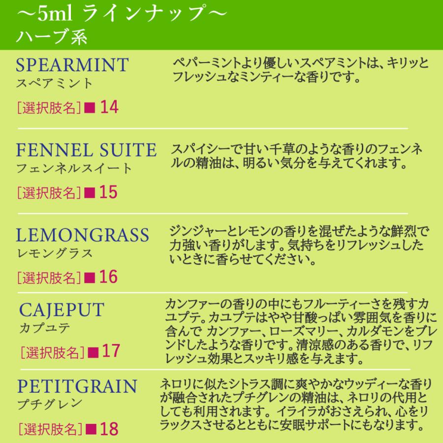 アンドエスエイチ エッセンシャルオイル 精油セット 10ml×3本 5ml×3本