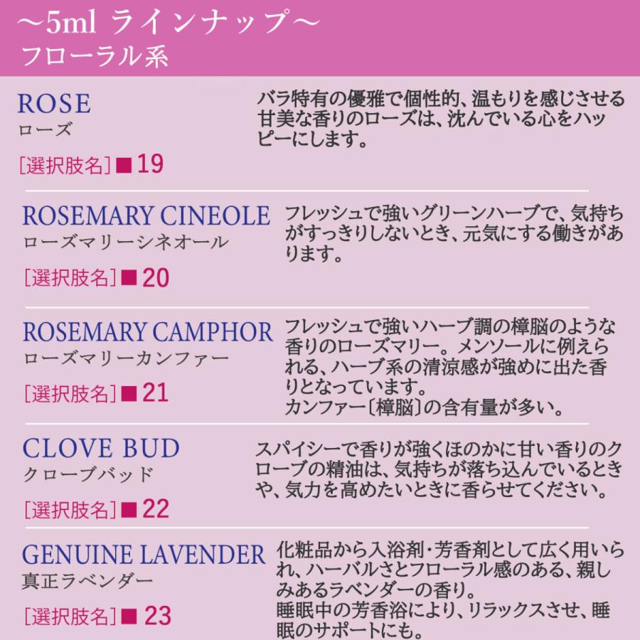 アンドエスエイチ エッセンシャルオイル 精油セット 10ml×3本 5ml×3本