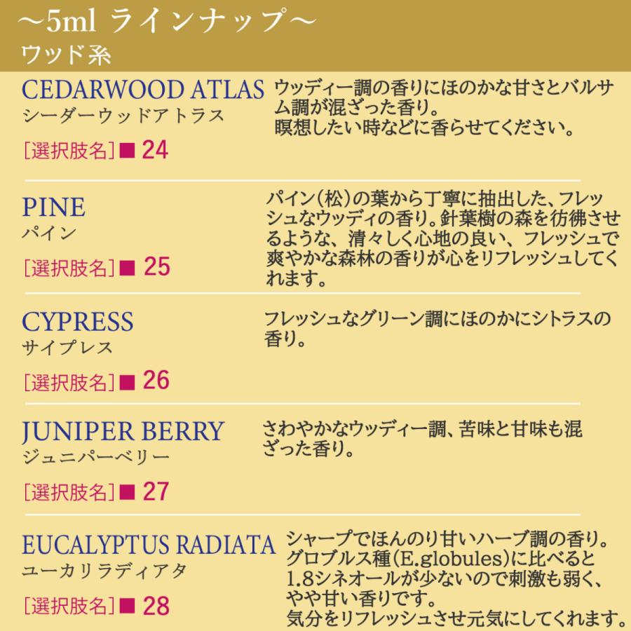 アンドエスエイチ エッセンシャルオイル 精油セット 10ml×3本 5ml×3本