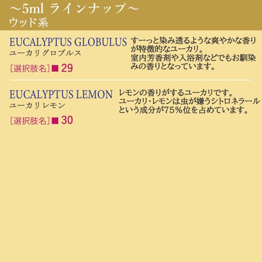 アンドエスエイチ エッセンシャルオイル 精油セット 10ml×3本 5ml×3本