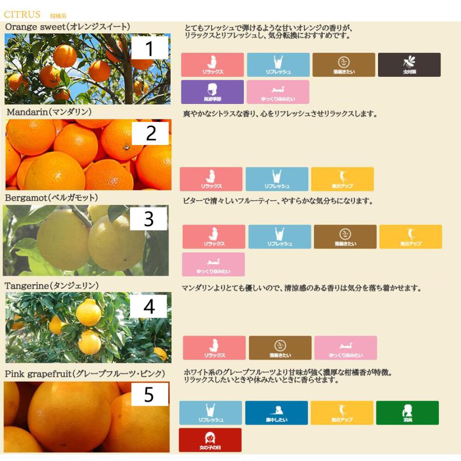 アンドエスエイチ エッセンシャルオイル 精油セット 10ml×3本 5ml×3本