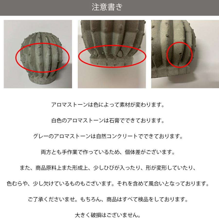 アンドエスエイチ おしゃれ サボテン アロマストーン2個 +