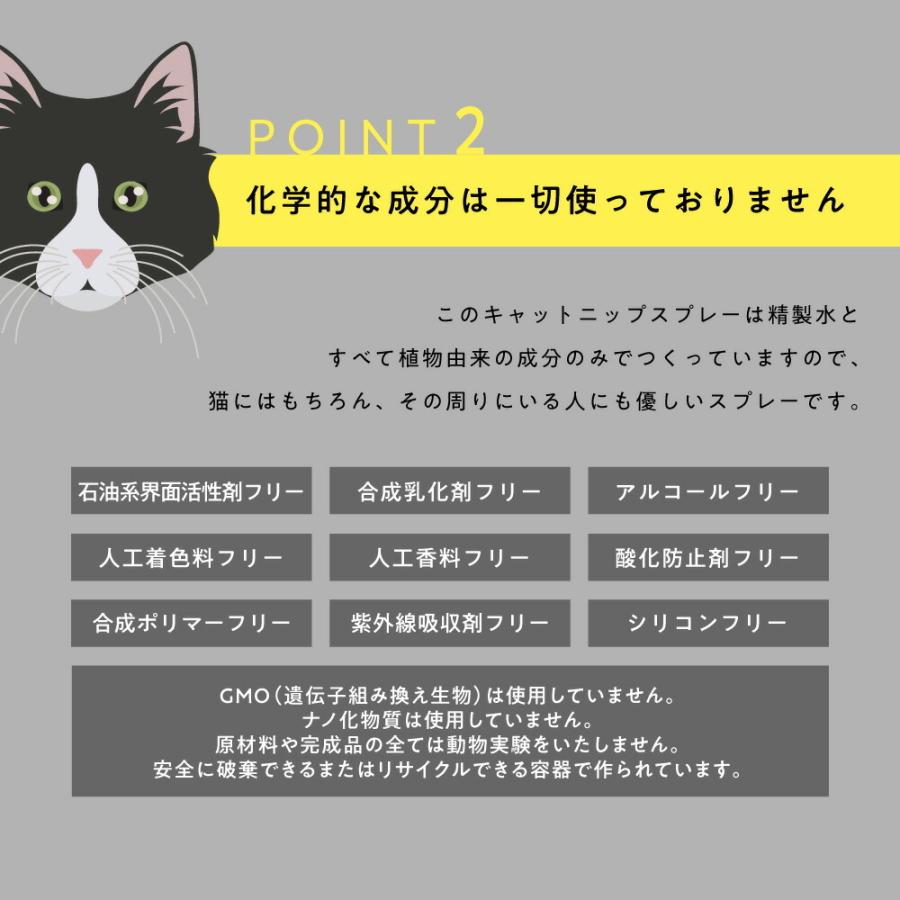 市場 トーラス ドライブも楽しくなるシロップ 30ml カーロップ