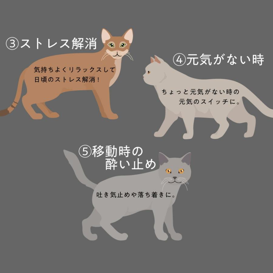 市場 トーラス ドライブも楽しくなるシロップ 30ml カーロップ