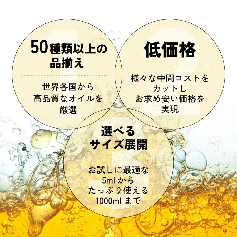 アンドエスエイチ キャリアオイル アロマ ラズベリーシードオイル 50ml