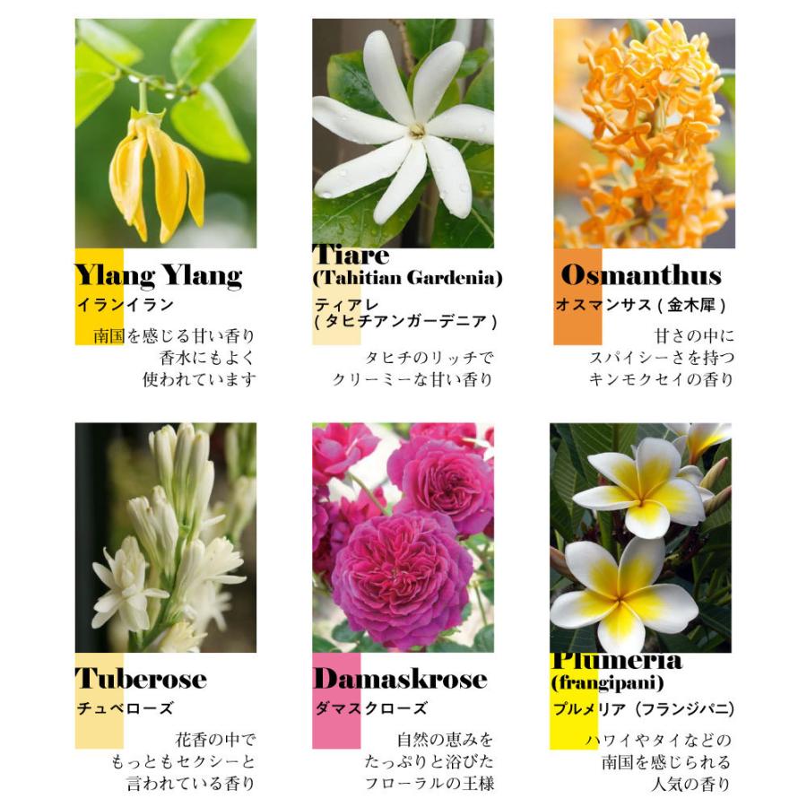 Kumokumo Square E 12