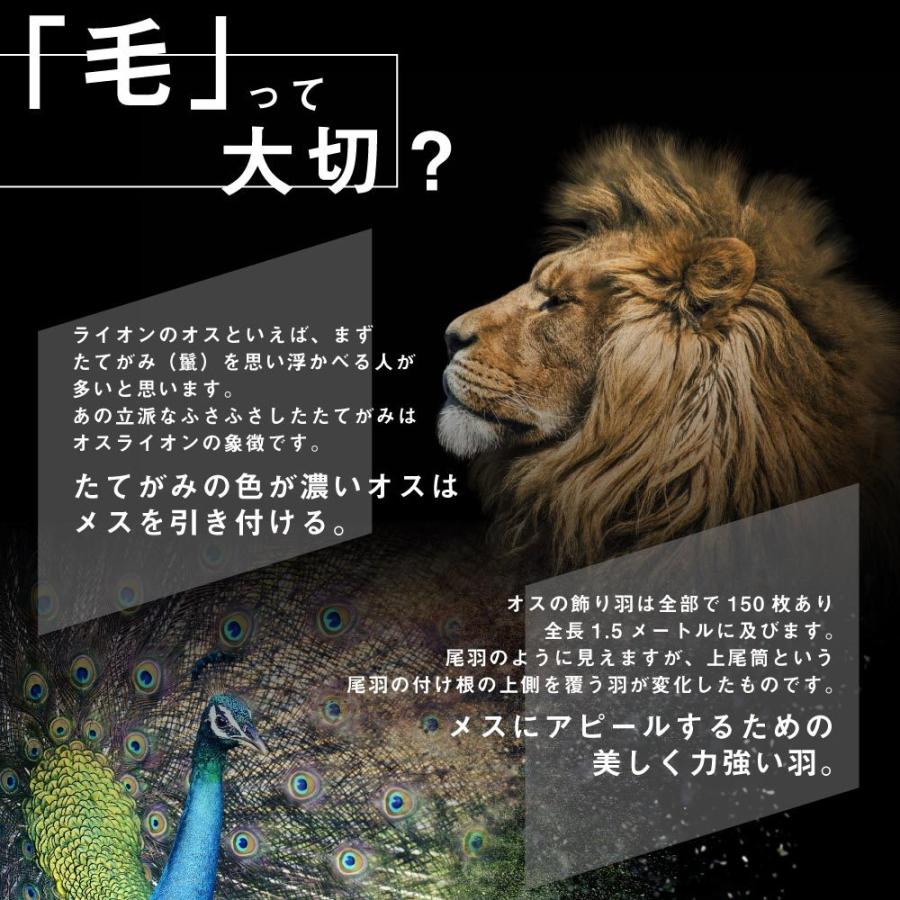 最安挑戦 ヘアワックス メンズ Nthw フォーメン 40ｇ 柑橘系 香料 無香料 オー ガニックワックス ハード Tg Smc Lt3