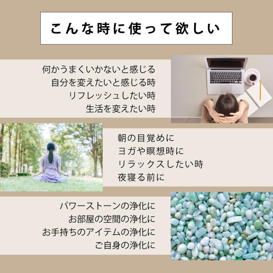 アンドエスエイチ 浄化用 ホワイトセージ カリフォルニア産 無農薬 5g