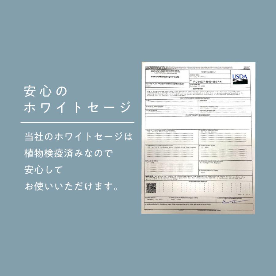 ホワイトセージ 浄化 カリフォルニア産 無農薬 30g（10g×3個 セット)  枝付き クラスター ＆ リーフ ＆ クラッシュ MIX +lt3+｜kumokumo-square｜09