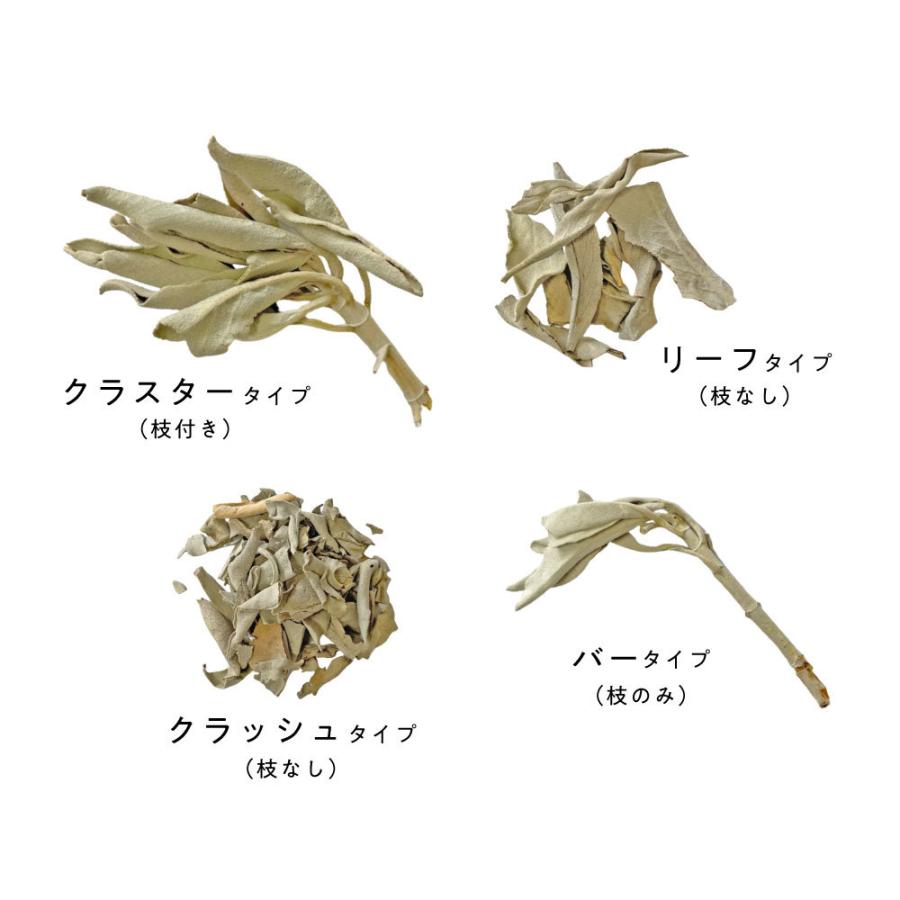「激安価格」無農薬ホワイトセージカリフォルニア産リーフ＆クラッシュ5kg 楽天市場】【送料無料】高品質【ホワイトセージ】30g