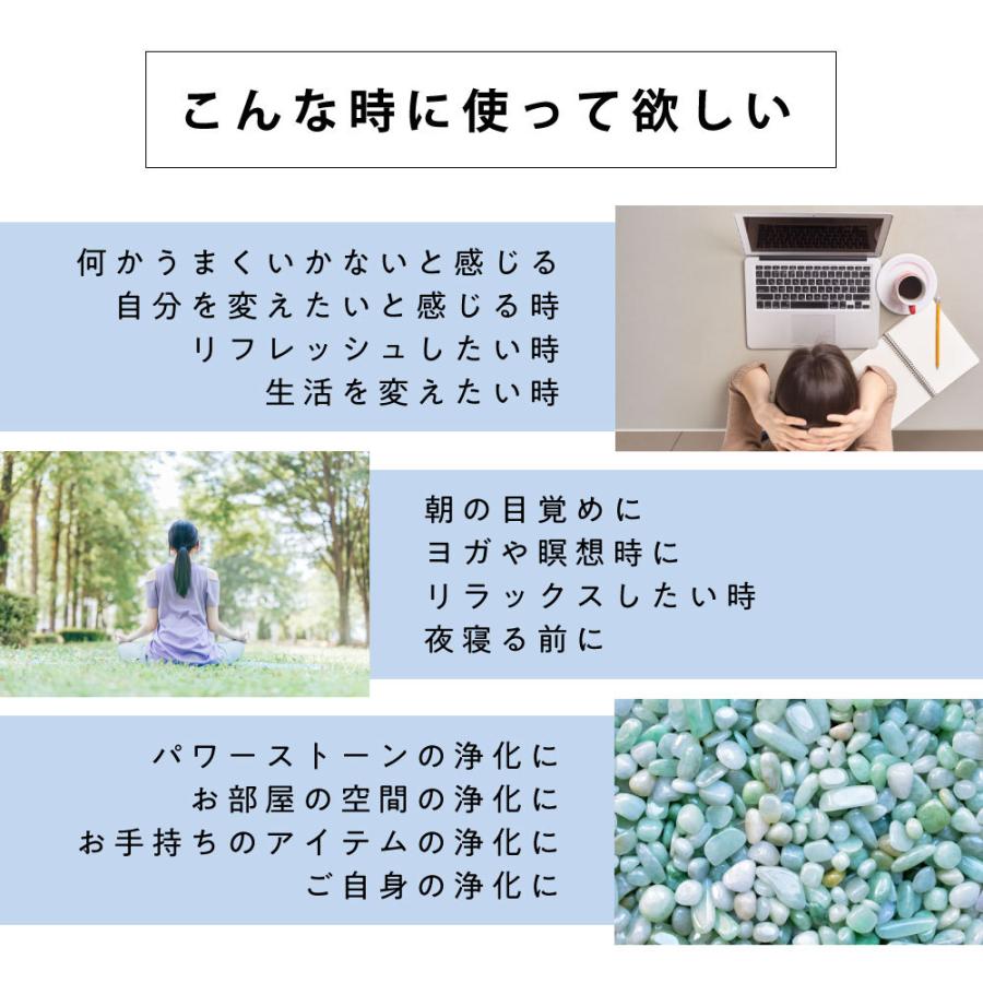アンドエスエイチ ホワイトセージ カリフォルニア産 直輸入 無農薬