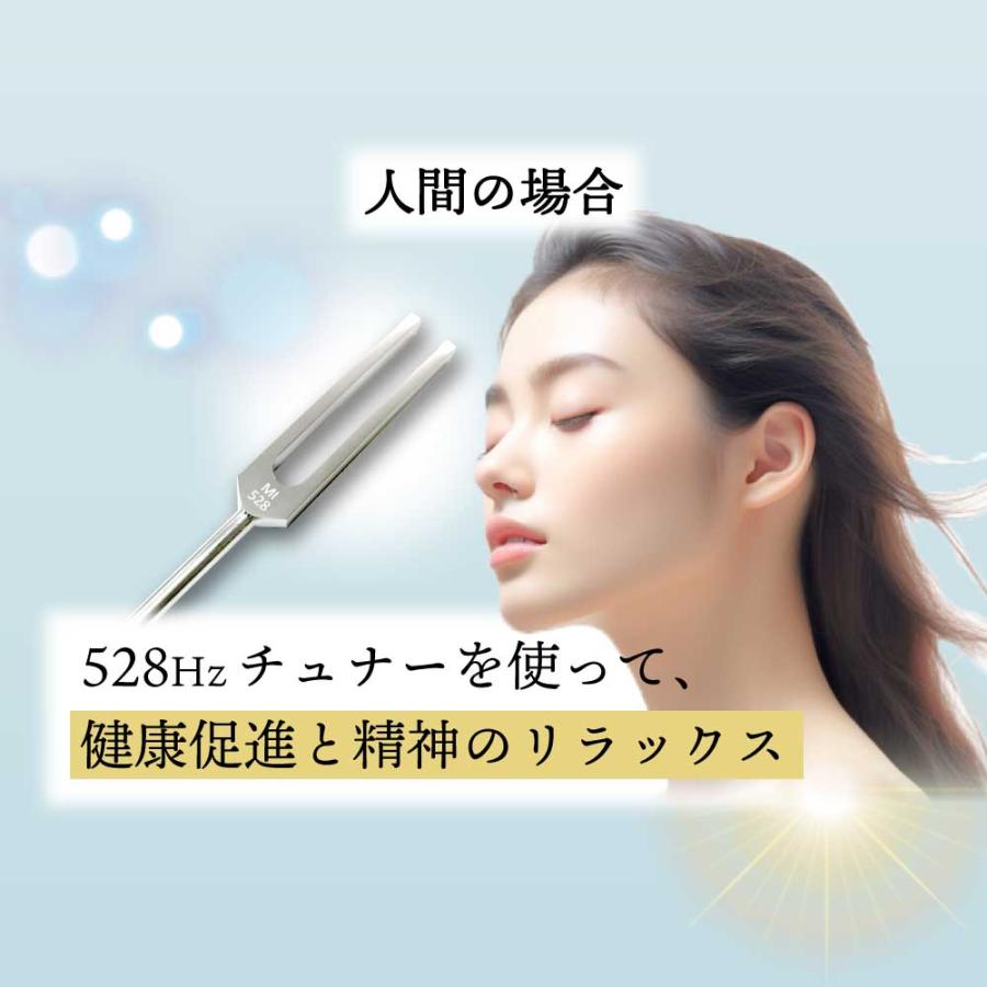 音叉 528 / 528HZ チューナー ラバーマレット 専用 袋付 ヒーリング