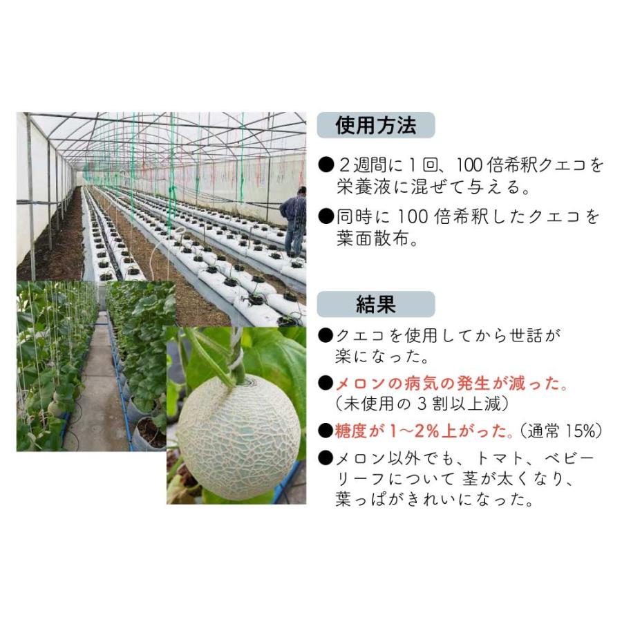 活力剤 植物 / QUECO BIO クエコ バイオ プラントアクティベーターリキッド 100ml 植物活性液 ガーデニング用品 農業 園芸 ...
