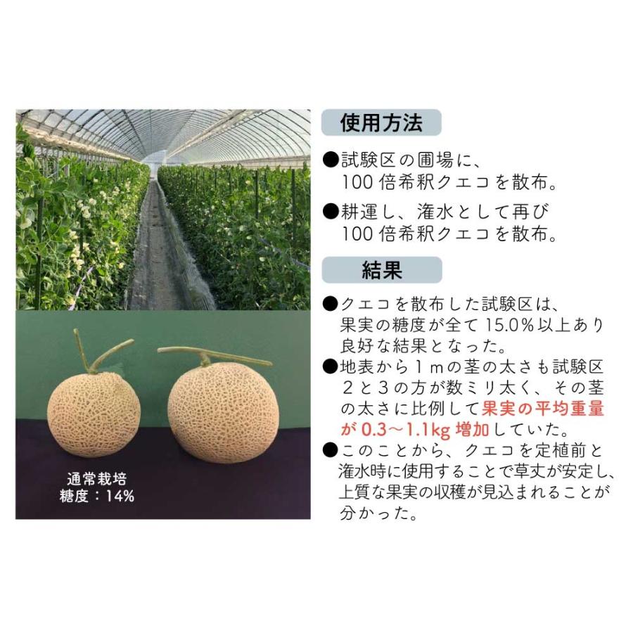 ガーデニング用品 / QUECO BIO クエコ バイオ プラントアクティベーターリキッド 500ml 詰替え 植物活性液 農園 農家 農作業 ...