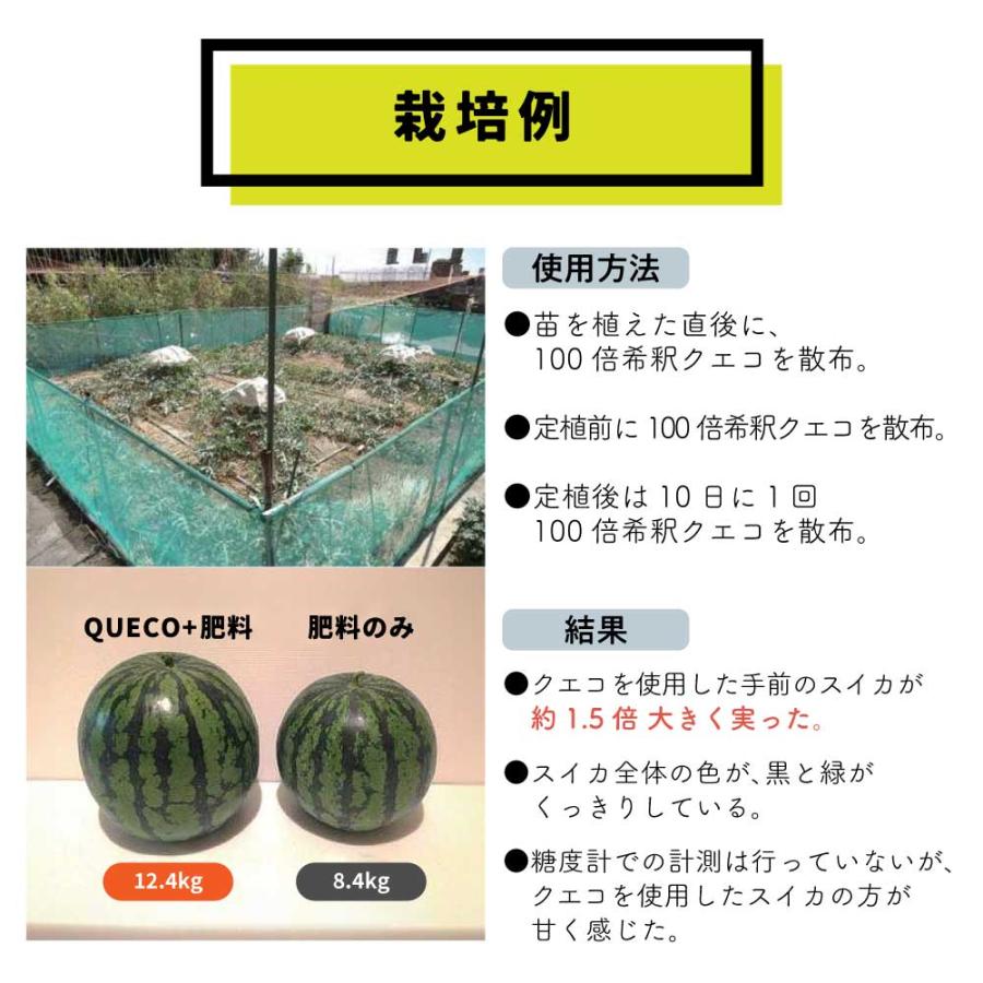 ガーデニング用品 / QUECO BIO クエコ バイオ プラントアクティベーターリキッド 500ml 詰替え 植物活性液 農園 農家 農作業 ...