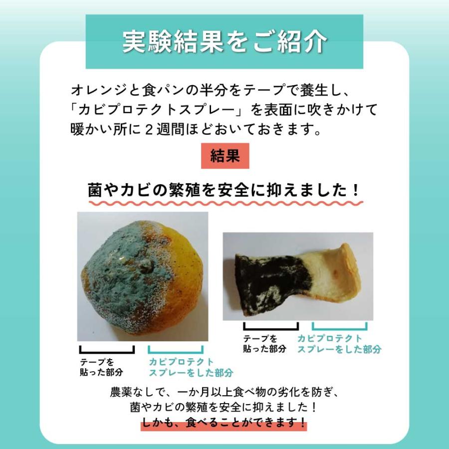 QUECO（クエコ） カビ防止スプレー / QUECO カビプロテクト スプレー 300ml / カビ 予防 カビ 防カビ カビ対策 くさい ...