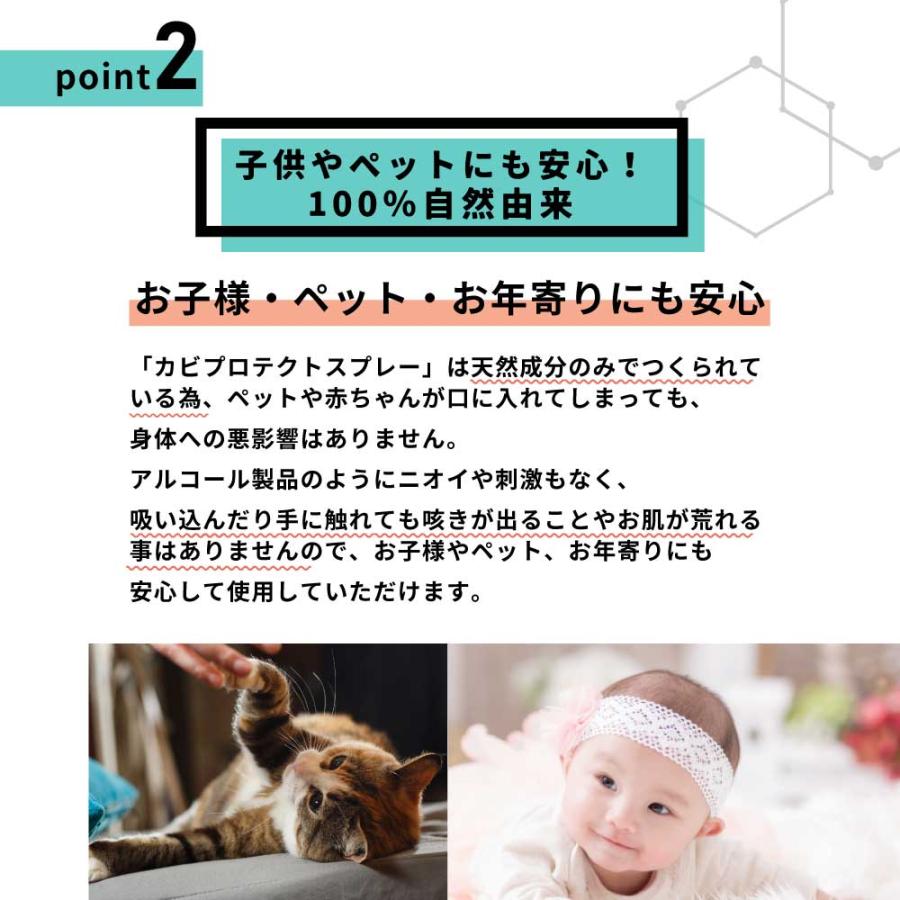 QUECO（クエコ） カビ防止剤 / QUECO カビプロテクト スプレー 250ml 詰替 / お掃除 風呂 浴槽 キッチン 台所 洗面 ...