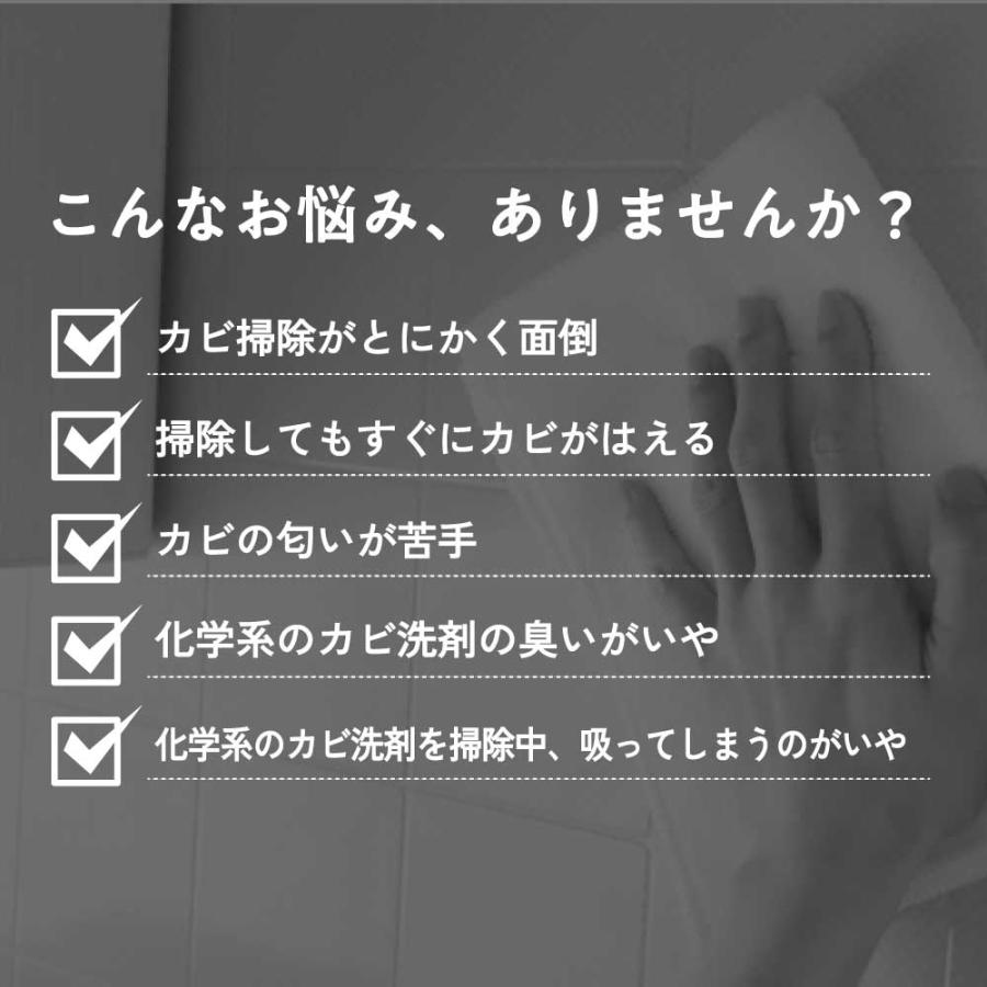 QUECO（クエコ） カビ防止剤 / QUECO カビプロテクト スプレー 250ml 詰替 / お掃除 風呂 浴槽 キッチン 台所 洗面 ...