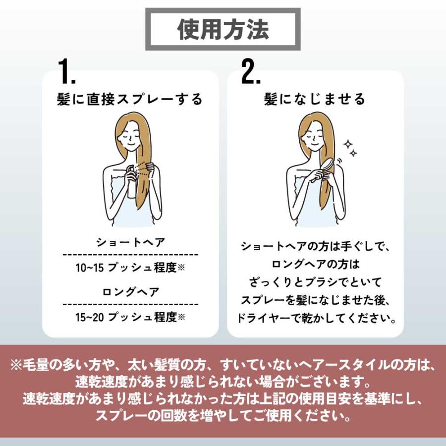 速乾  &SH クイックドライ ヘアミスト 100ml ローズ  ドライヤー 前 ブロー 髪の毛 手入れ 薔薇 +lt3+