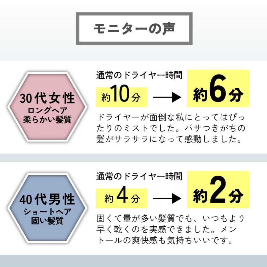速乾  &SH クイックドライ ヘアミスト 100ml ローズ  ドライヤー 前 ブロー 髪の毛 手入れ 薔薇 +lt3+