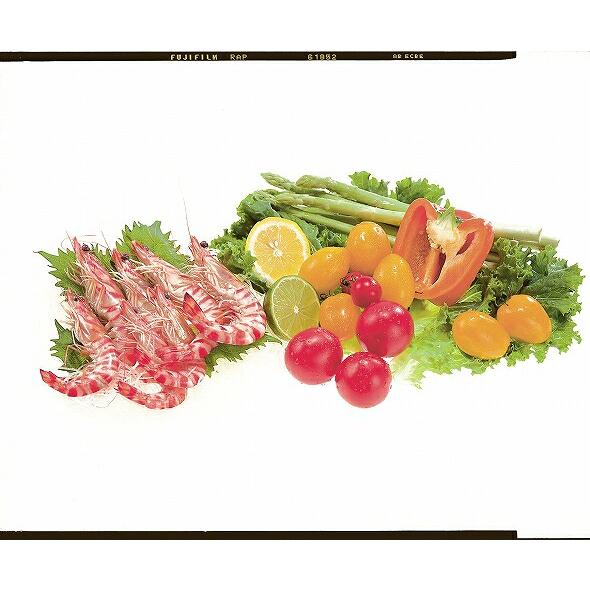 未開封◎トンボ 業務用まな板 マナイタ 厚み3cm 100x40x3 TONBO（新輝合成） TONBO(トンボ) 抗菌業務用マナイタ 3cm厚 120×90×3